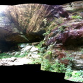 Sheltowee Trace, Red River Gorge